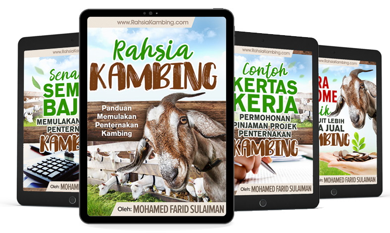rahsia kambing
